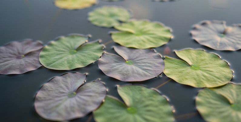 Памятка для Клиента. Техника безопасности при баночном массаже.